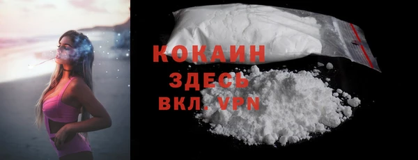 дживик Аркадак