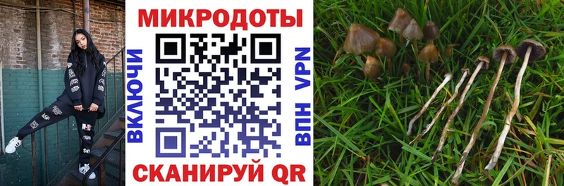 как найти закладки  Дегтярск  Галлюциногенные грибы Magic Shrooms 